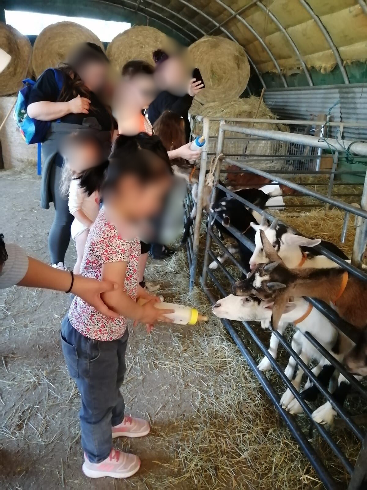 Sortie à la ferme.